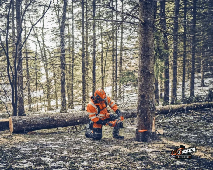 Husqvarna 562 XP Motorlu Testere Kılıç Motor 7